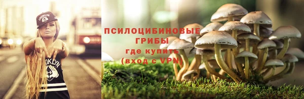 эйфоретик Алзамай