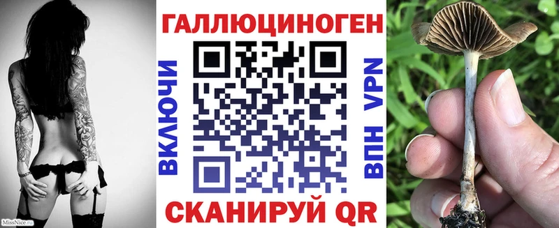 Псилоцибиновые грибы мицелий  где продают   Печоры 