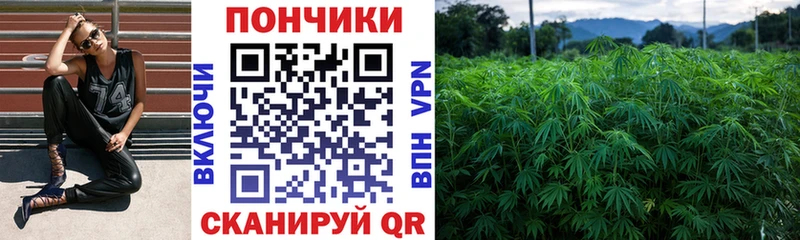 Бошки Шишки LSD WEED  Печоры 